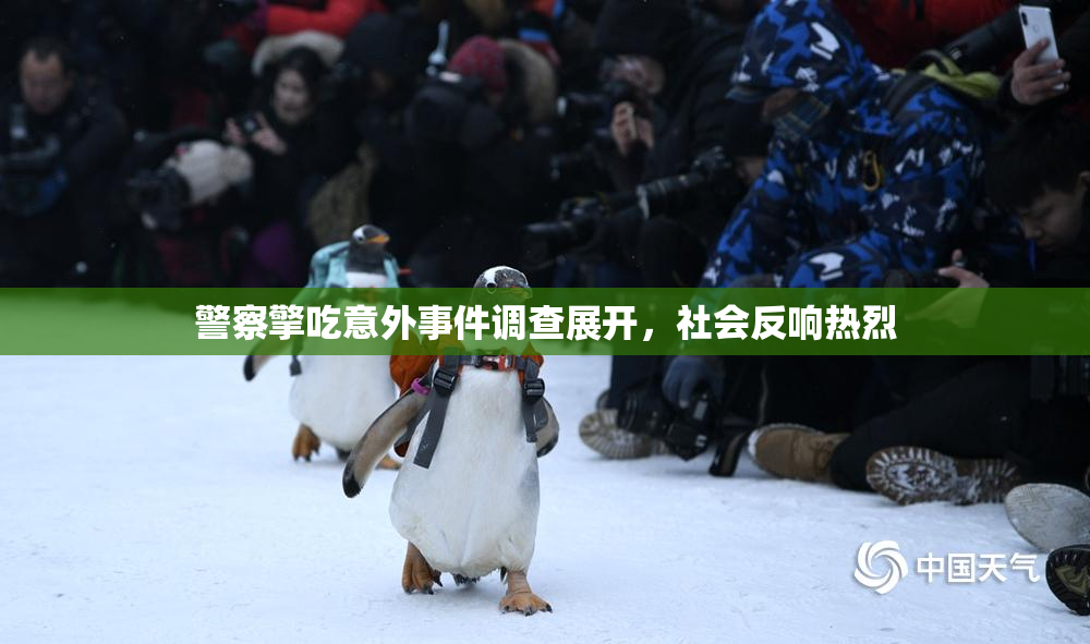警察擎吃意外事件调查展开，社会反响热烈