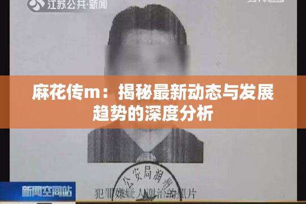 麻花传m：揭秘最新动态与发展趋势的深度分析