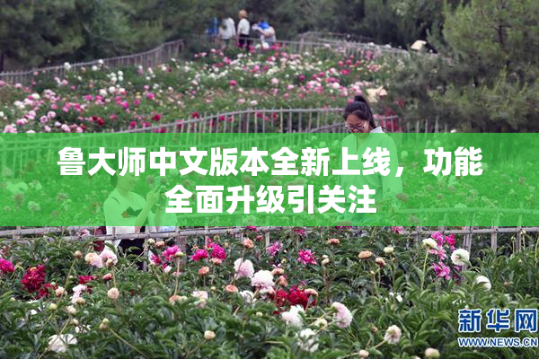 鲁大师中文版本全新上线，功能全面升级引关注