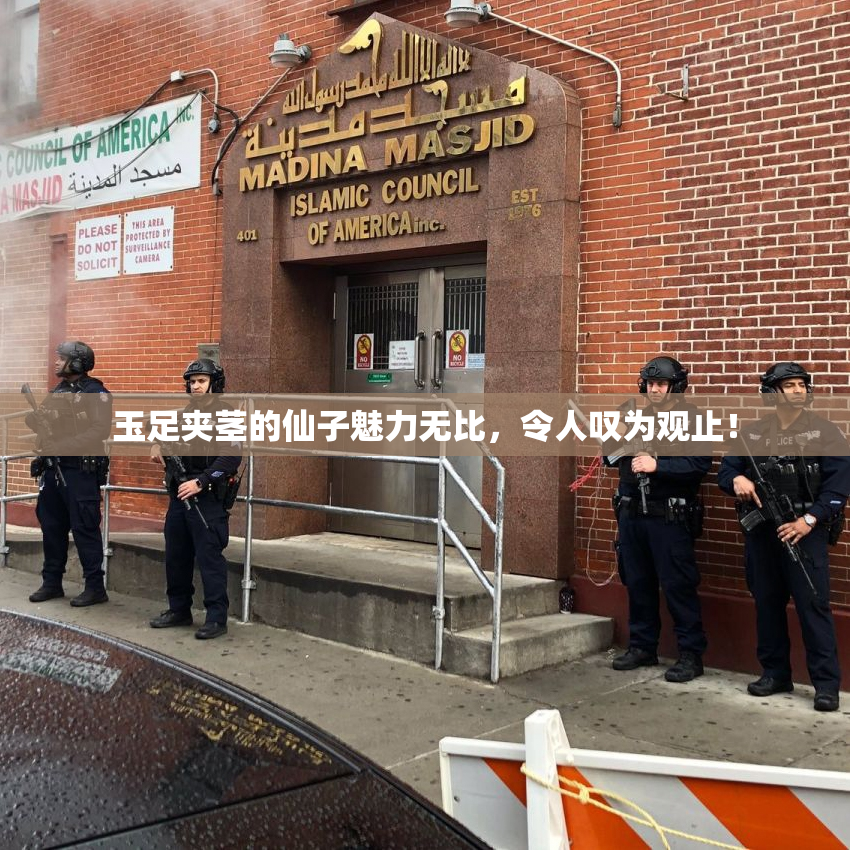 玉足夹茎的仙子魅力无比，令人叹为观止！