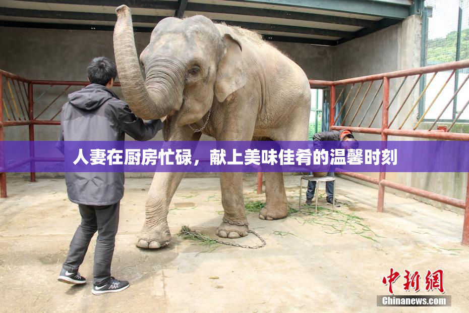 人妻在厨房忙碌，献上美味佳肴的温馨时刻