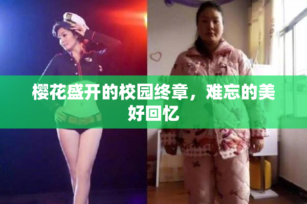 樱花盛开的校园终章，难忘的美好回忆