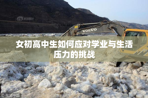 女初高中生如何应对学业与生活压力的挑战