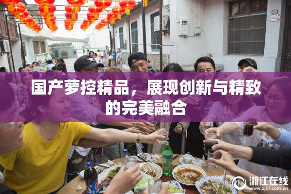 国产萝控精品，展现创新与精致的完美融合