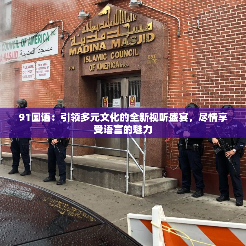 91国语：引领多元文化的全新视听盛宴，尽情享受语言的魅力