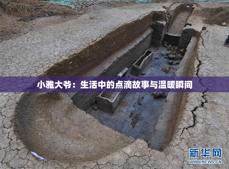 小雅大爷：生活中的点滴故事与温暖瞬间