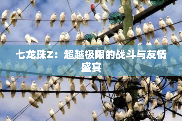 七龙珠Z：超越极限的战斗与友情盛宴