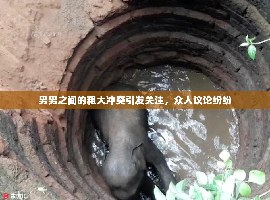 男男之间的粗大冲突引发关注，众人议论纷纷