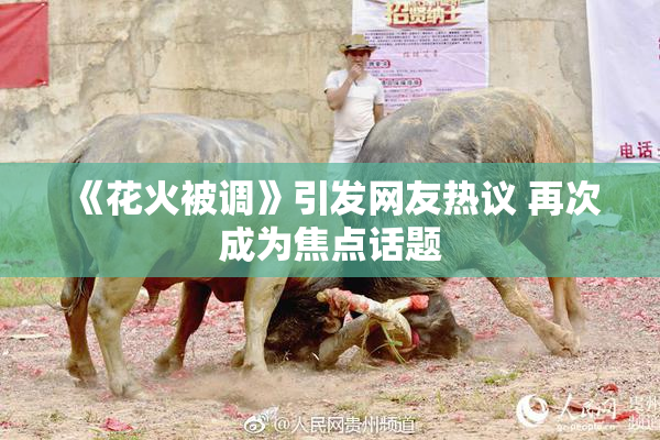 《花火被调》引发网友热议 再次成为焦点话题