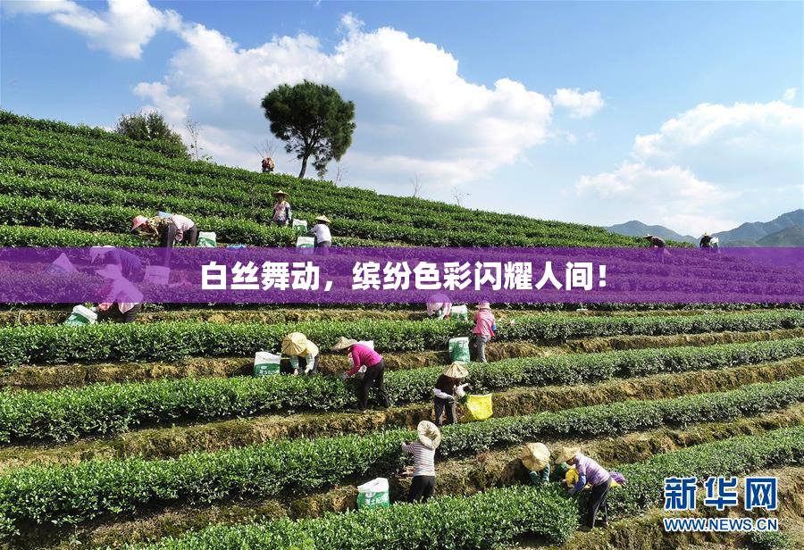 白丝舞动，缤纷色彩闪耀人间！
