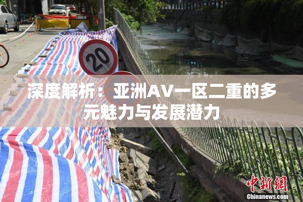 深度解析：亚洲AV一区二重的多元魅力与发展潜力