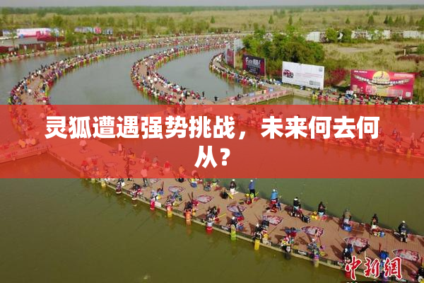 灵狐遭遇强势挑战，未来何去何从？