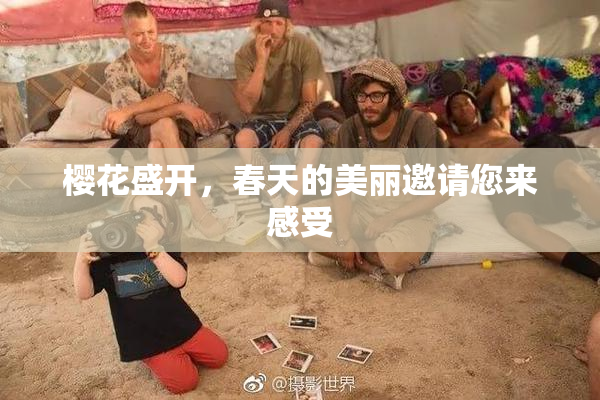 樱花盛开，春天的美丽邀请您来感受