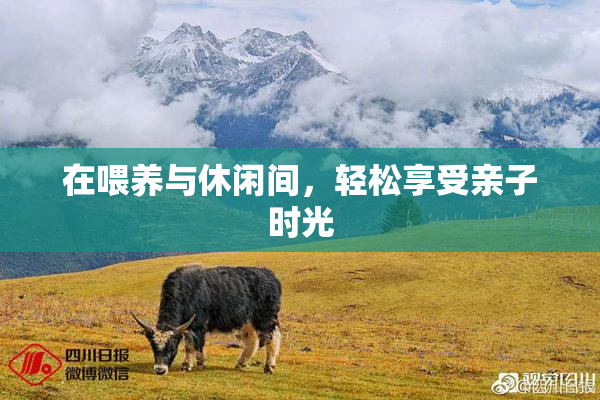 在喂养与休闲间，轻松享受亲子时光
