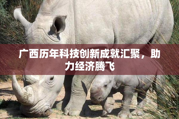 广西历年科技创新成就汇聚，助力经济腾飞