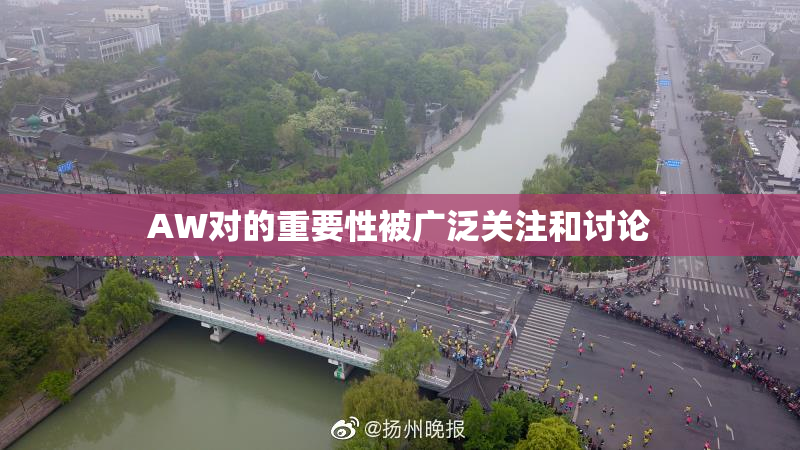 AW对的重要性被广泛关注和讨论