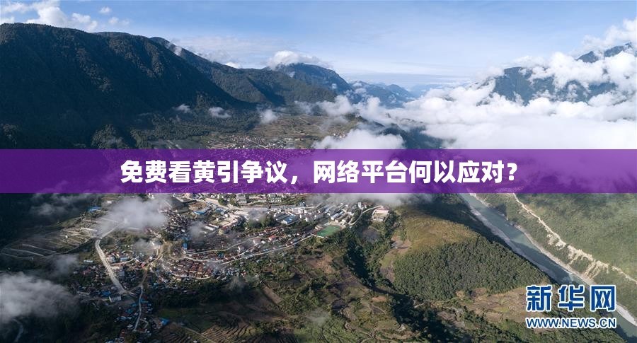 免费看黄引争议，网络平台何以应对？