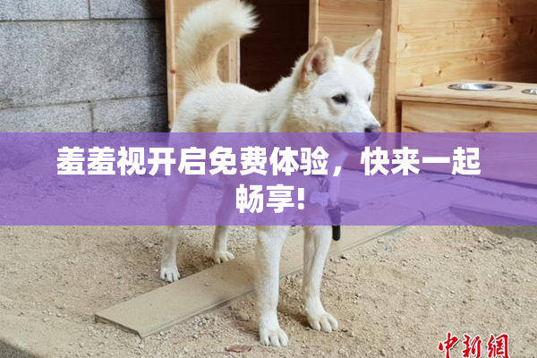 羞羞视开启免费体验，快来一起畅享!