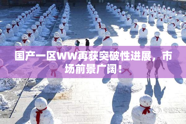 国产一区WW再获突破性进展，市场前景广阔！