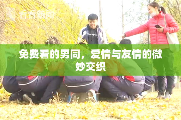 免费看的男同，爱情与友情的微妙交织