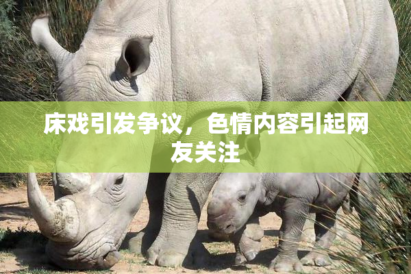 床戏引发争议，色情内容引起网友关注