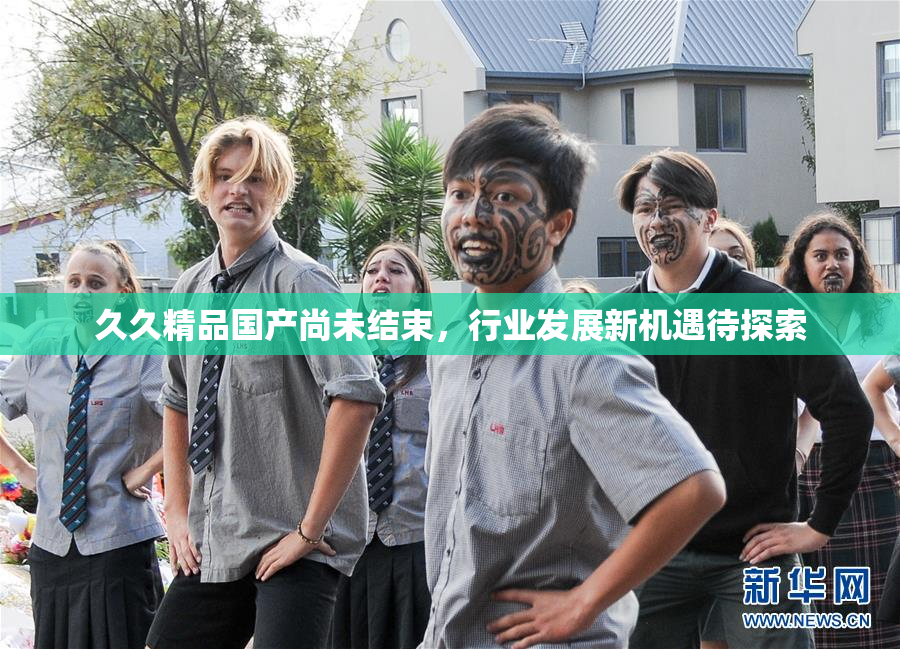 久久精品国产尚未结束，行业发展新机遇待探索