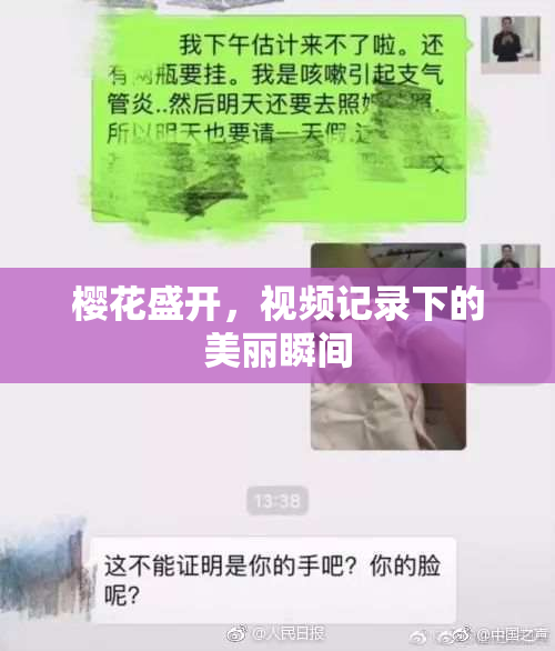 樱花盛开，视频记录下的美丽瞬间