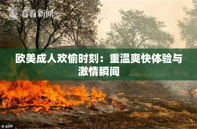 欧美成人欢愉时刻：重温爽快体验与激情瞬间