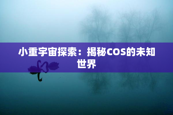 小重宇宙探索：揭秘COS的未知世界