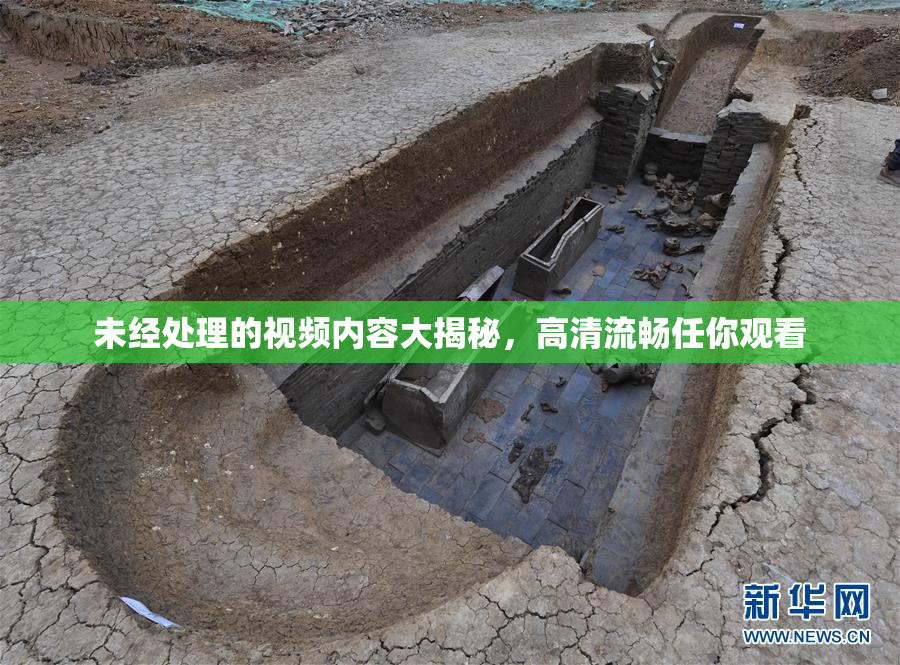 未经处理的视频内容大揭秘，高清流畅任你观看