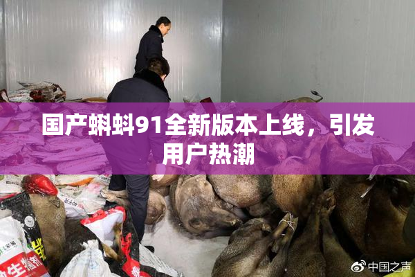国产蝌蚪91全新版本上线，引发用户热潮