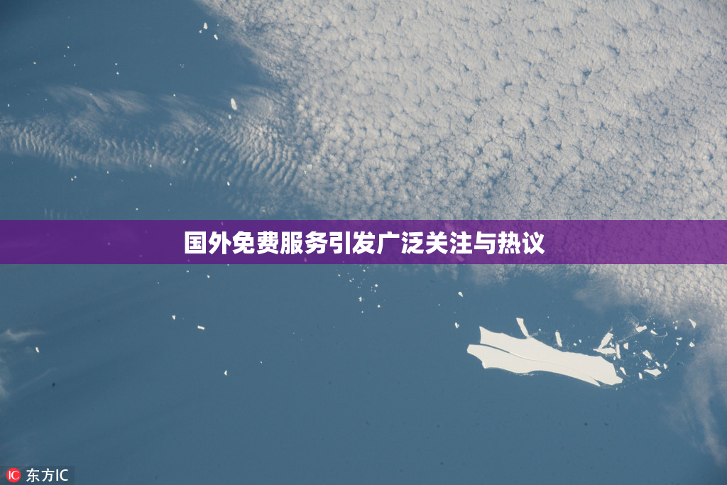 国外免费服务引发广泛关注与热议