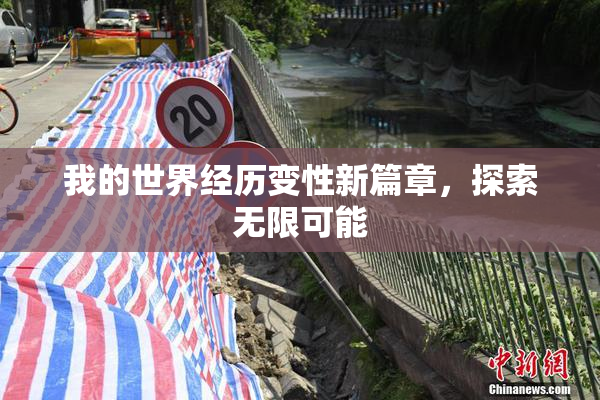 我的世界经历变性新篇章，探索无限可能