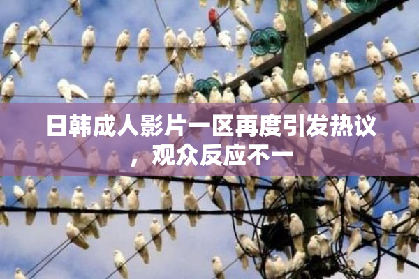 日韩成人影片一区再度引发热议，观众反应不一