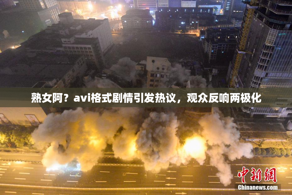 熟女阿？avi格式剧情引发热议，观众反响两极化
