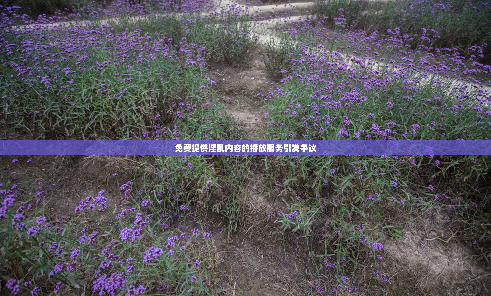 免费提供淫乱内容的播放服务引发争议