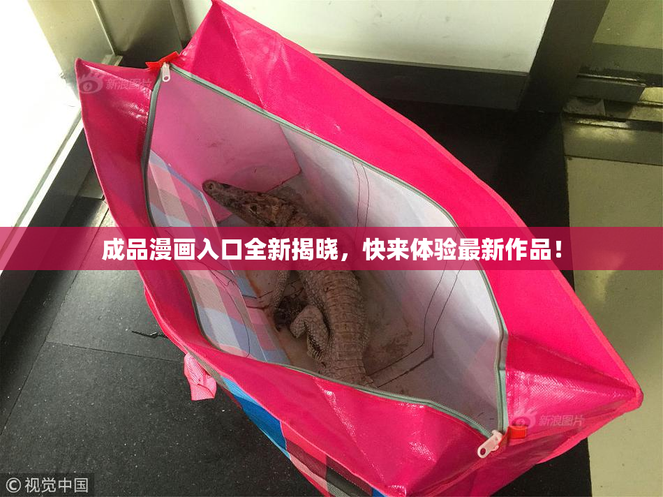 成品漫画入口全新揭晓，快来体验最新作品！