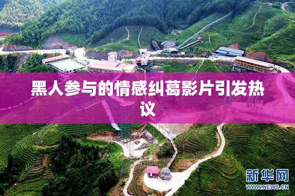 黑人参与的情感纠葛影片引发热议