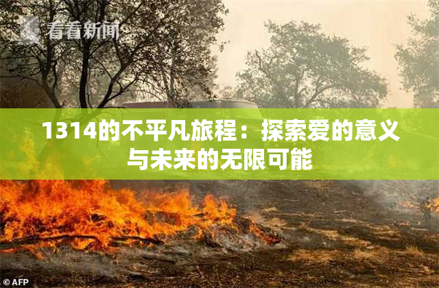 1314的不平凡旅程：探索爱的意义与未来的无限可能