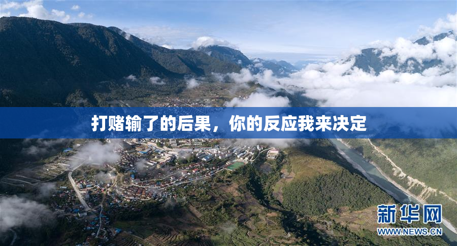 打赌输了的后果，你的反应我来决定