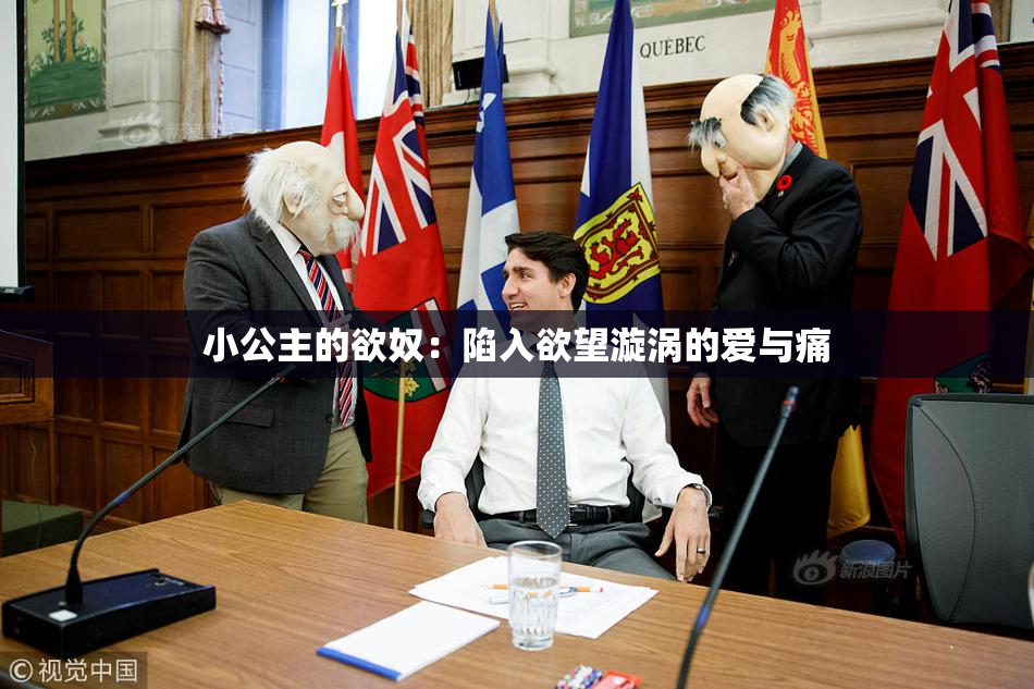 小公主的欲奴：陷入欲望漩涡的爱与痛