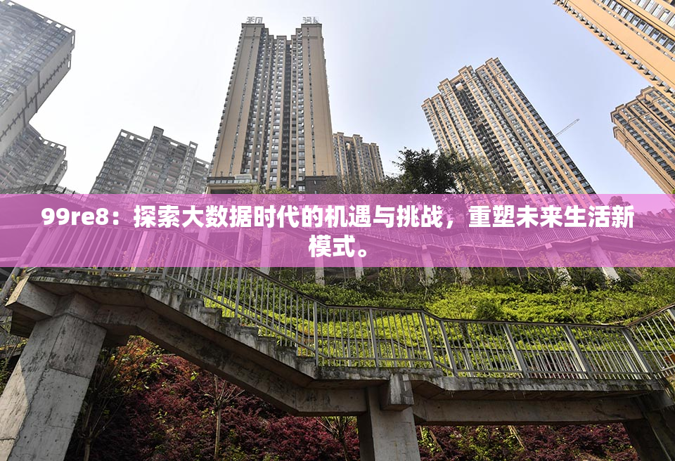 99re8：探索大数据时代的机遇与挑战，重塑未来生活新模式。