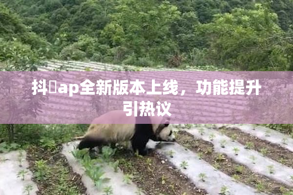 抖抈ap全新版本上线，功能提升引热议