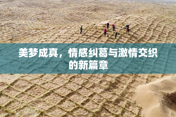 美梦成真，情感纠葛与激情交织的新篇章