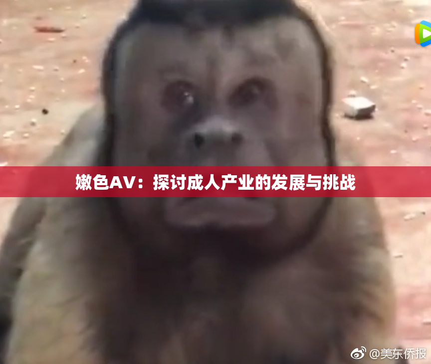 嫩色AV：探讨成人产业的发展与挑战