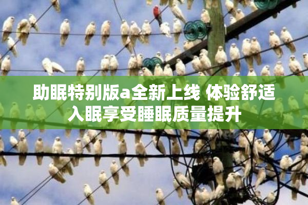 助眠特别版a全新上线 体验舒适入眠享受睡眠质量提升