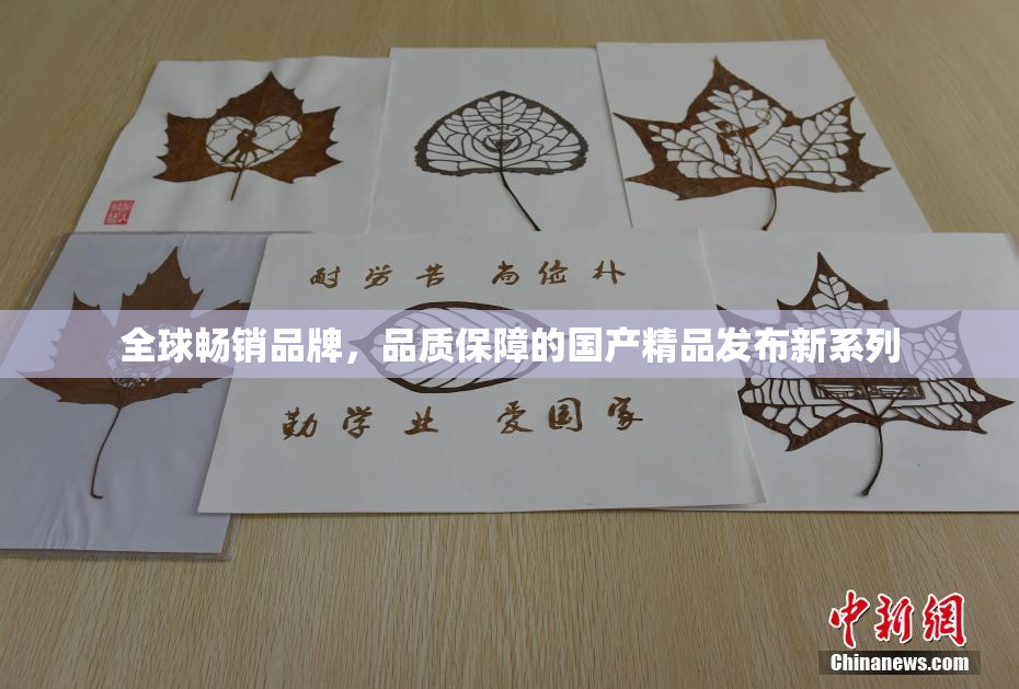 全球畅销品牌，品质保障的国产精品发布新系列