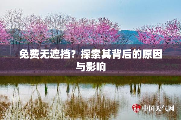 免费无遮挡？探索其背后的原因与影响