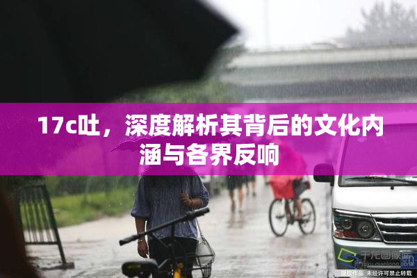 17c吐，深度解析其背后的文化内涵与各界反响