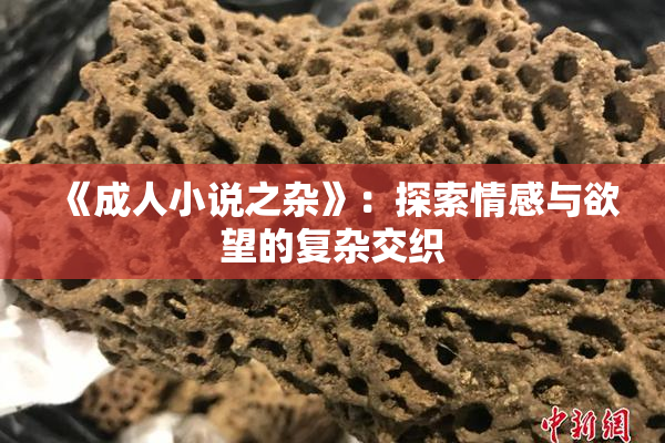 《成人小说之杂》：探索情感与欲望的复杂交织